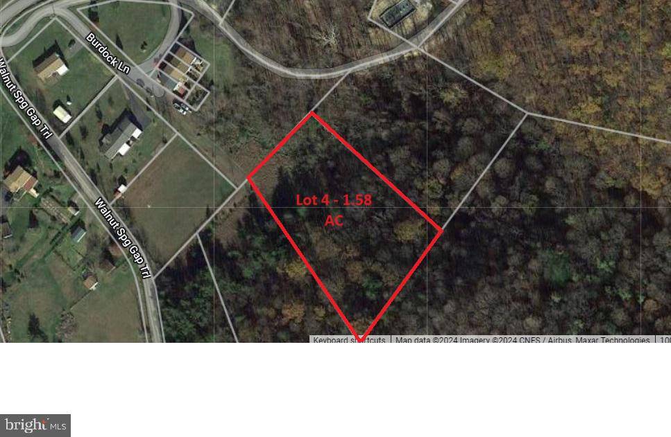 Keyser, WV 26726,LOT 4 BURDOCK LN