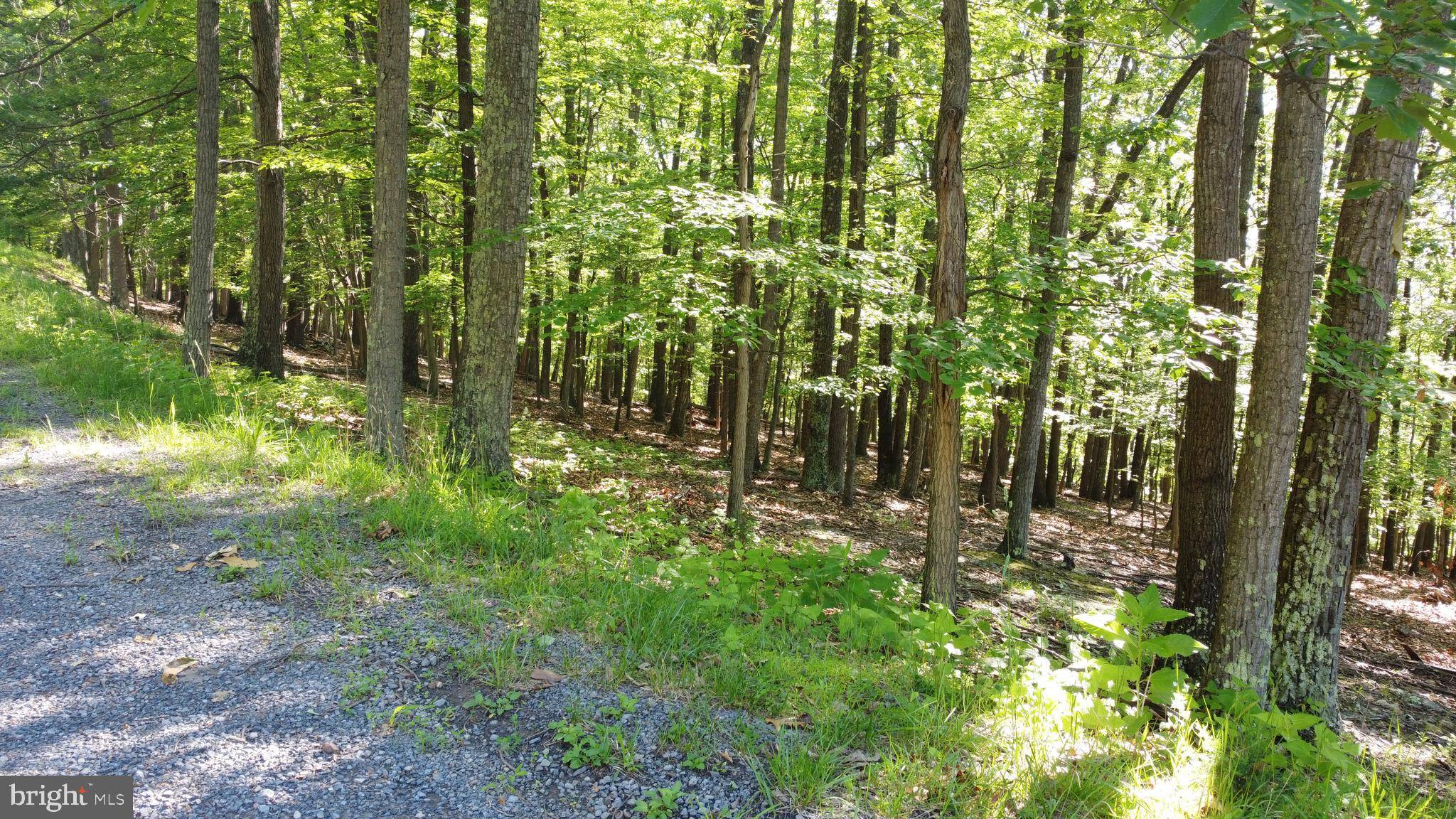 New Creek, WV 26743,LOT 13 JOSEPH HANKS DR