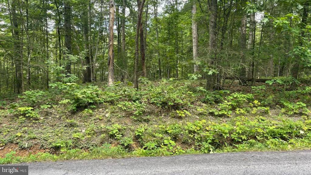 Mount Jackson, VA 22842,LOT 103 PIN OAK