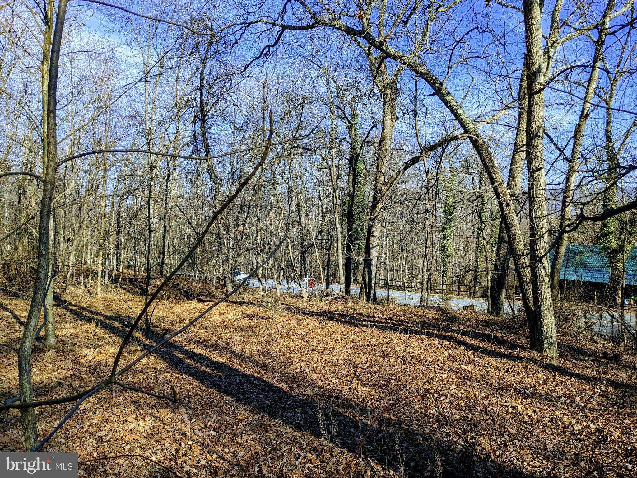 Keedysville, MD 21756,LOT 1 TREGO MOUNTAIN RD