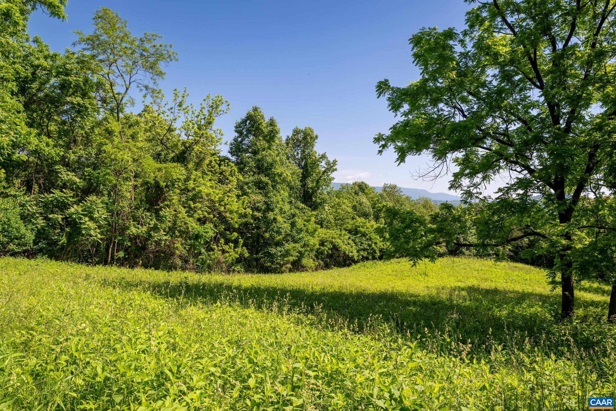 Afton, VA 22920,TBD ROCKFISH ORCHARD DR