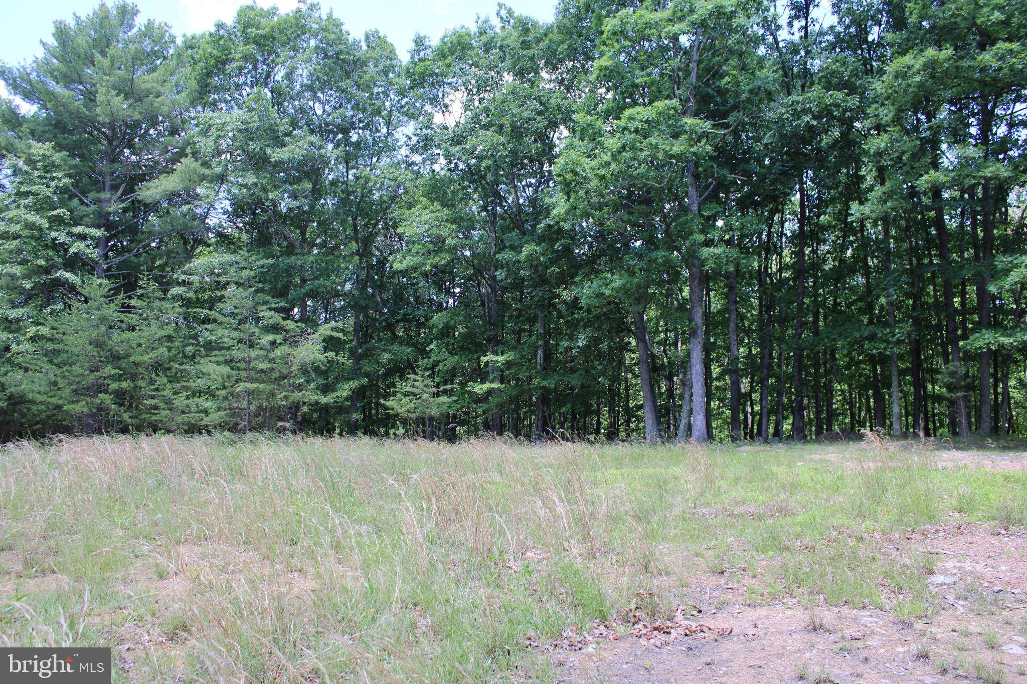 Baker, WV 26801,50 ACRES OFF NEEDMORE ROAD