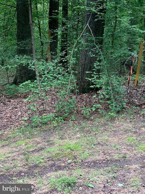 Louisa, VA 23093,JOHN LN #LOT 59