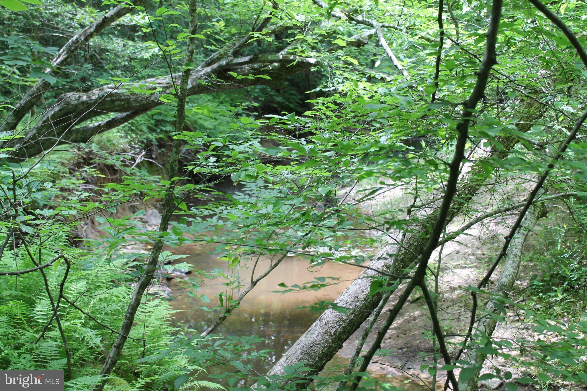 Ruther Glen, VA 22546,HORSESHOE BEND RD