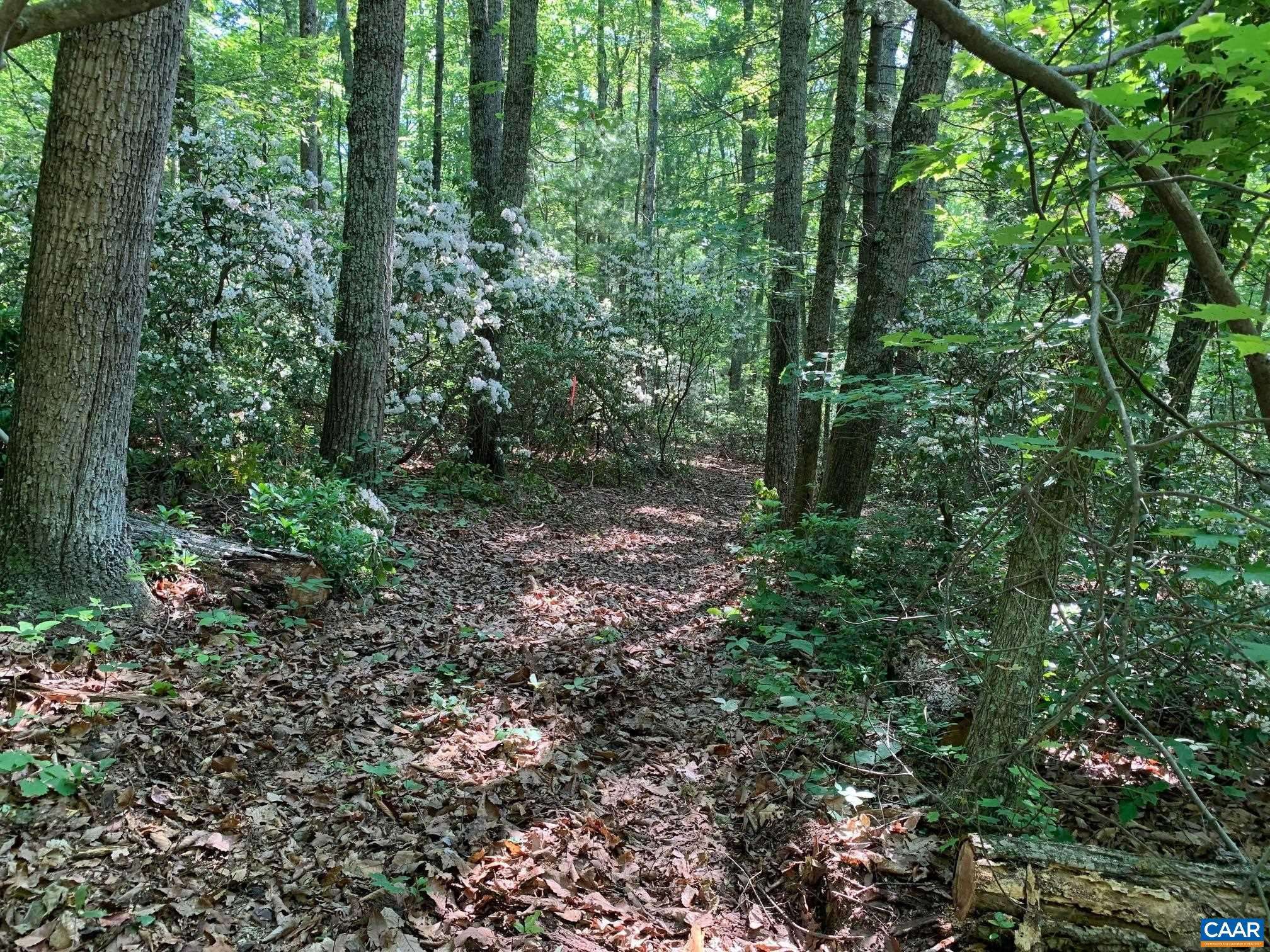 Haywood, VA 22722,TM 23-76 ARRINGTON MOUNTAIN RD #76