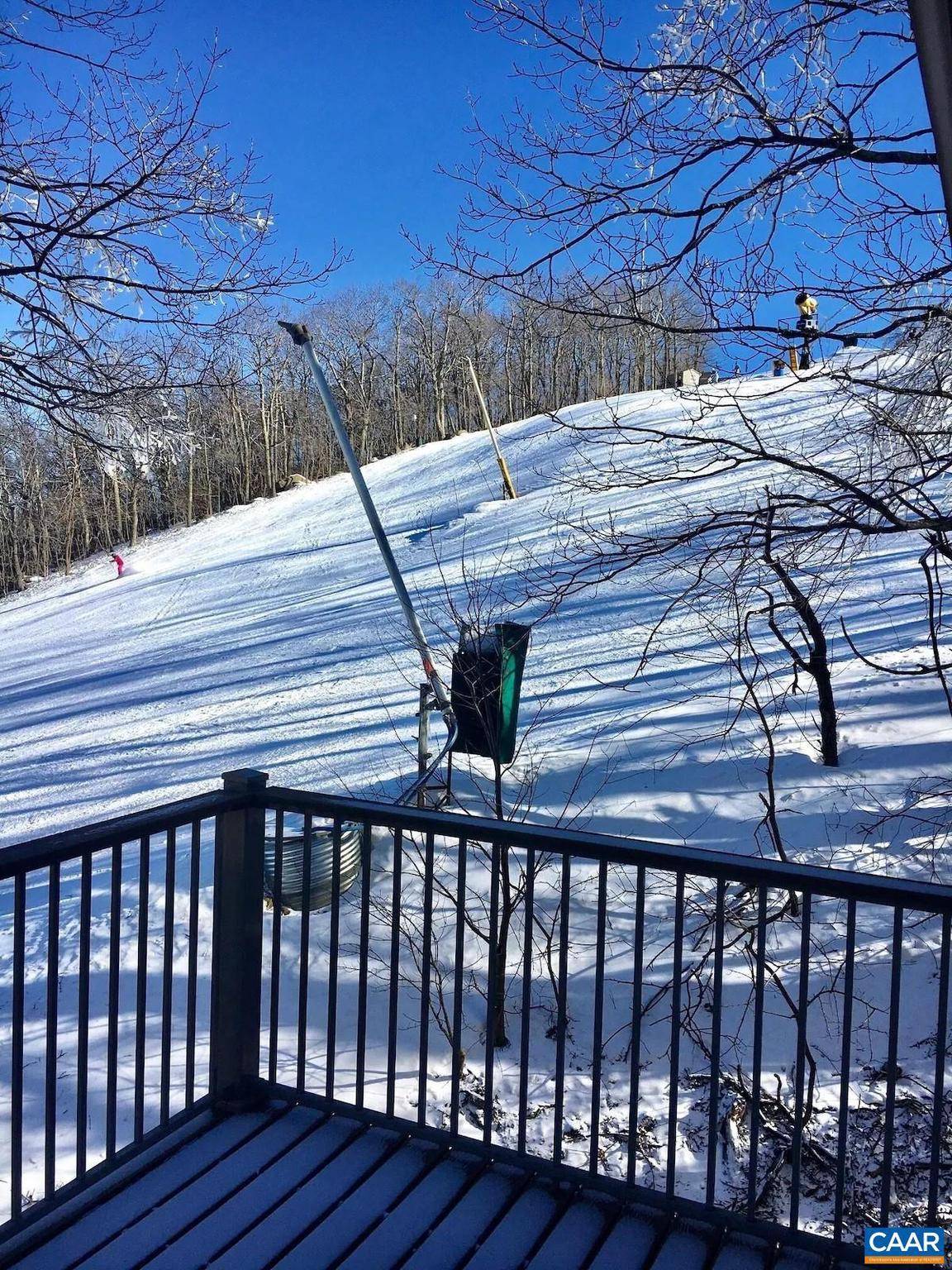 Wintergreen Resort, VA 22967,142 EAGLES CT CONDOS