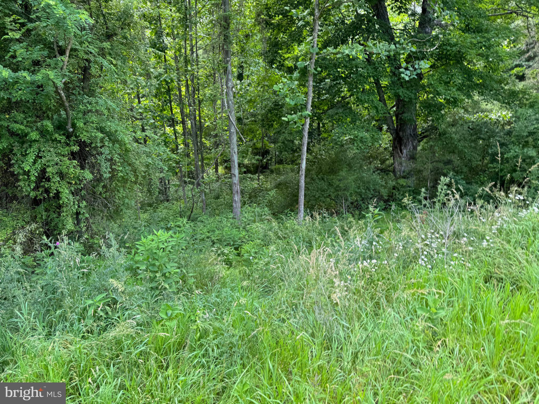 Scherr, WV 26726,LOT 7 COON RIDGE