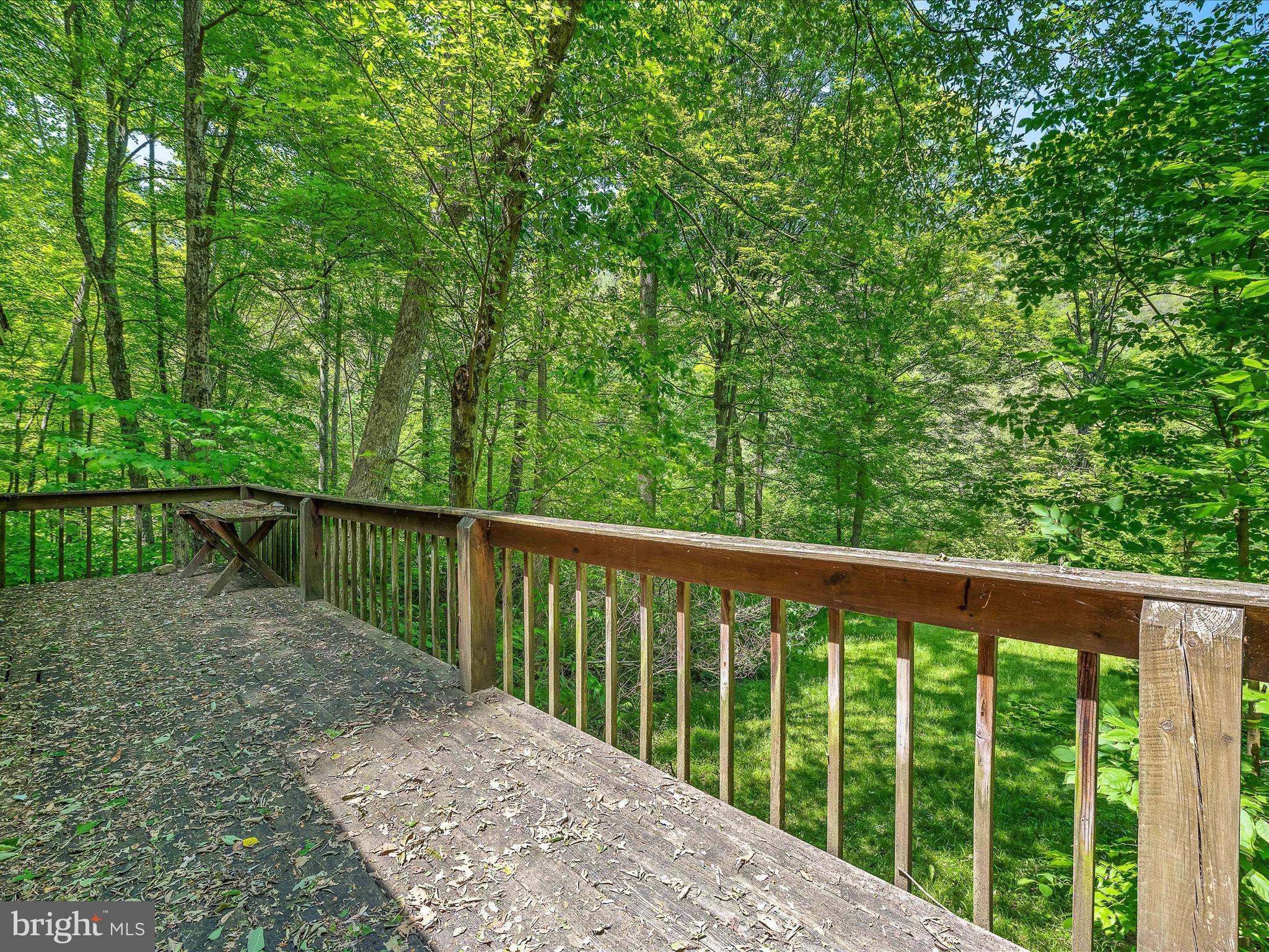 Great Cacapon, WV 25422,1414 BRIARY BOTTOM LN