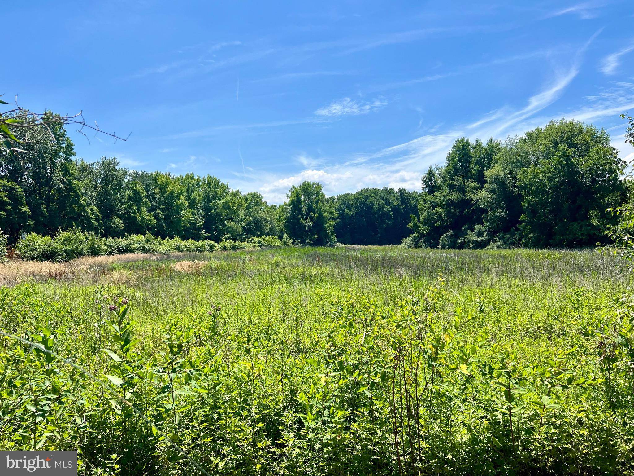 Pennsville, NJ 08070,PART OF LOT 34 ___HERON AVE