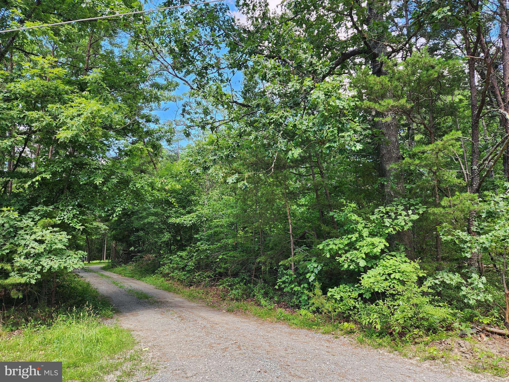 Louisa, VA 23093,LOT 1 WALNUT SHADE ROAD