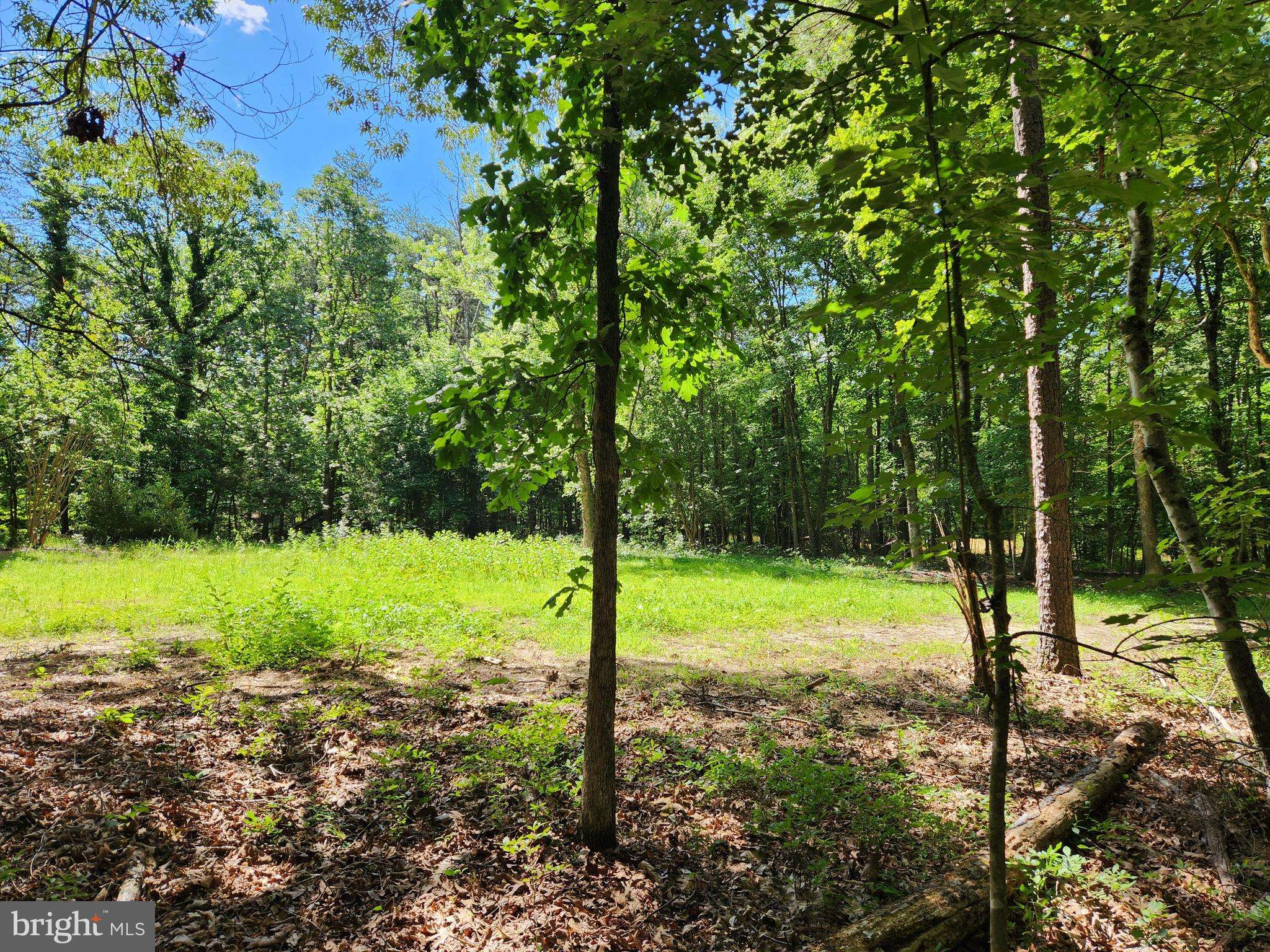 Louisa, VA 23093,LOT 1 WALNUT SHADE ROAD