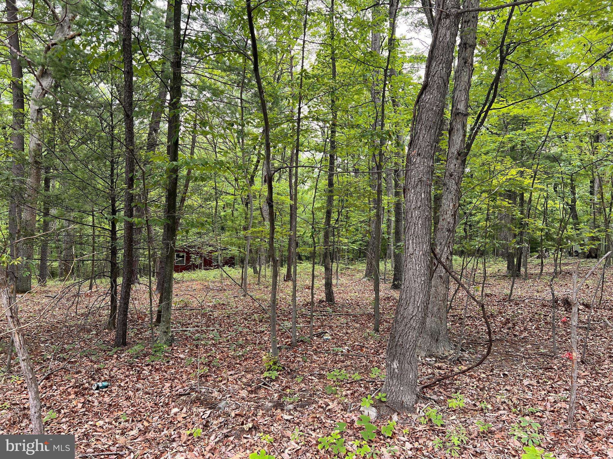 Hedgesville, WV 25427,LOT 6, HICKORY HILL