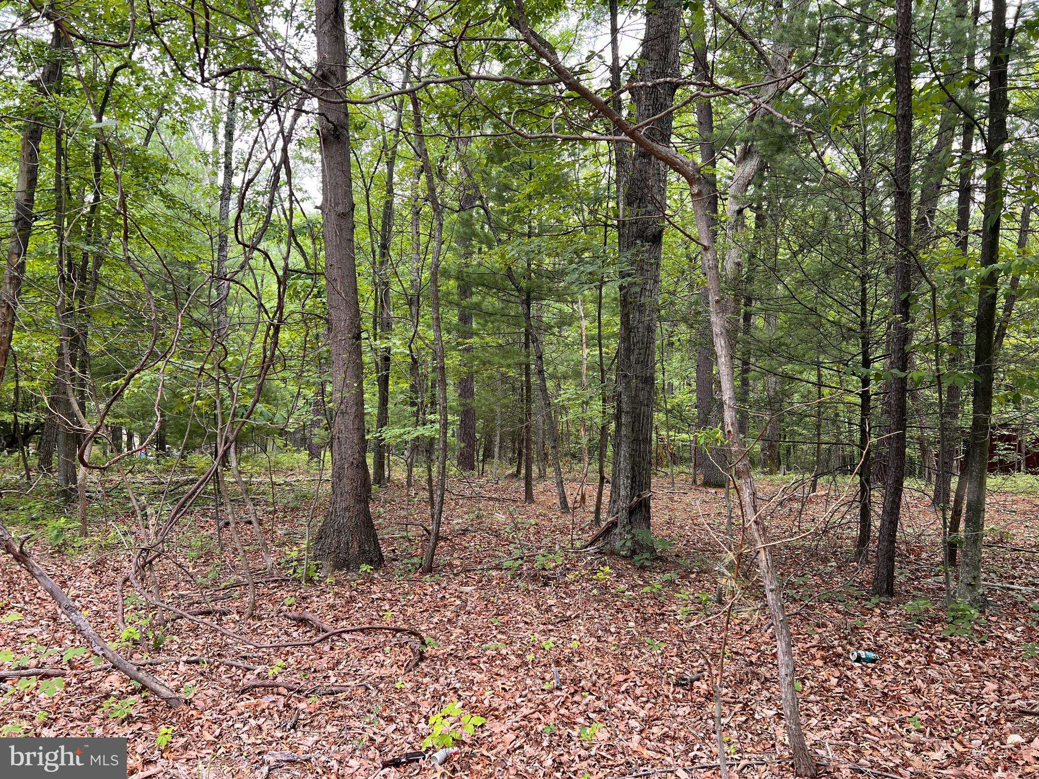 Hedgesville, WV 25427,LOT 6, HICKORY HILL