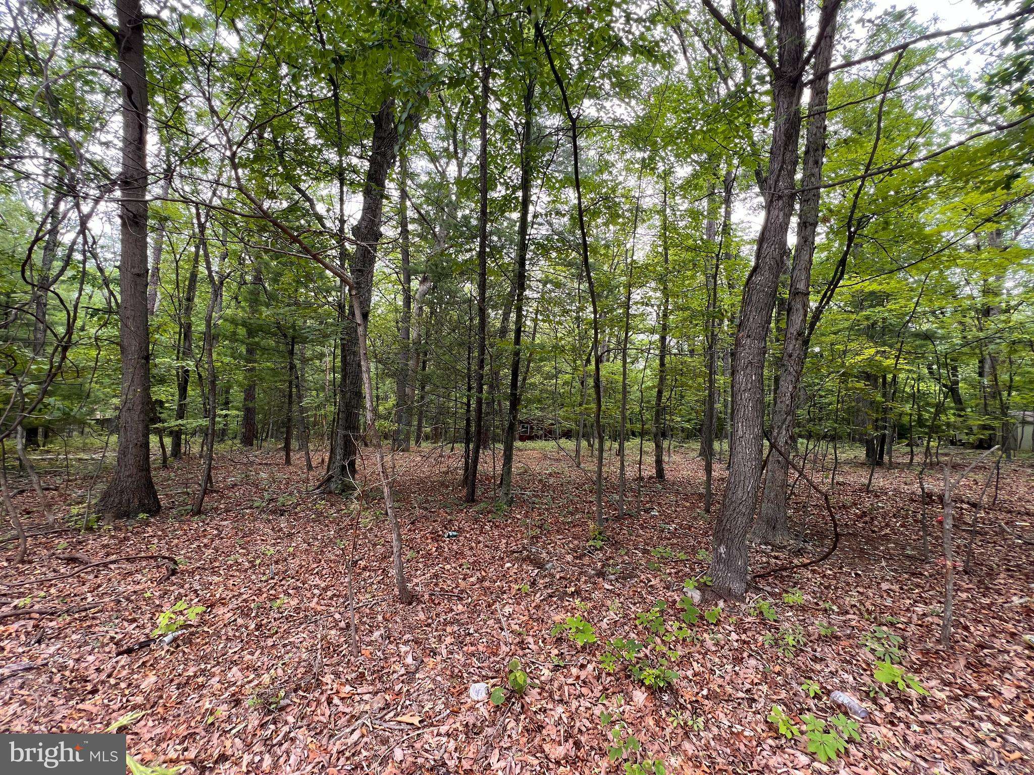 Hedgesville, WV 25427,LOT 6, HICKORY HILL