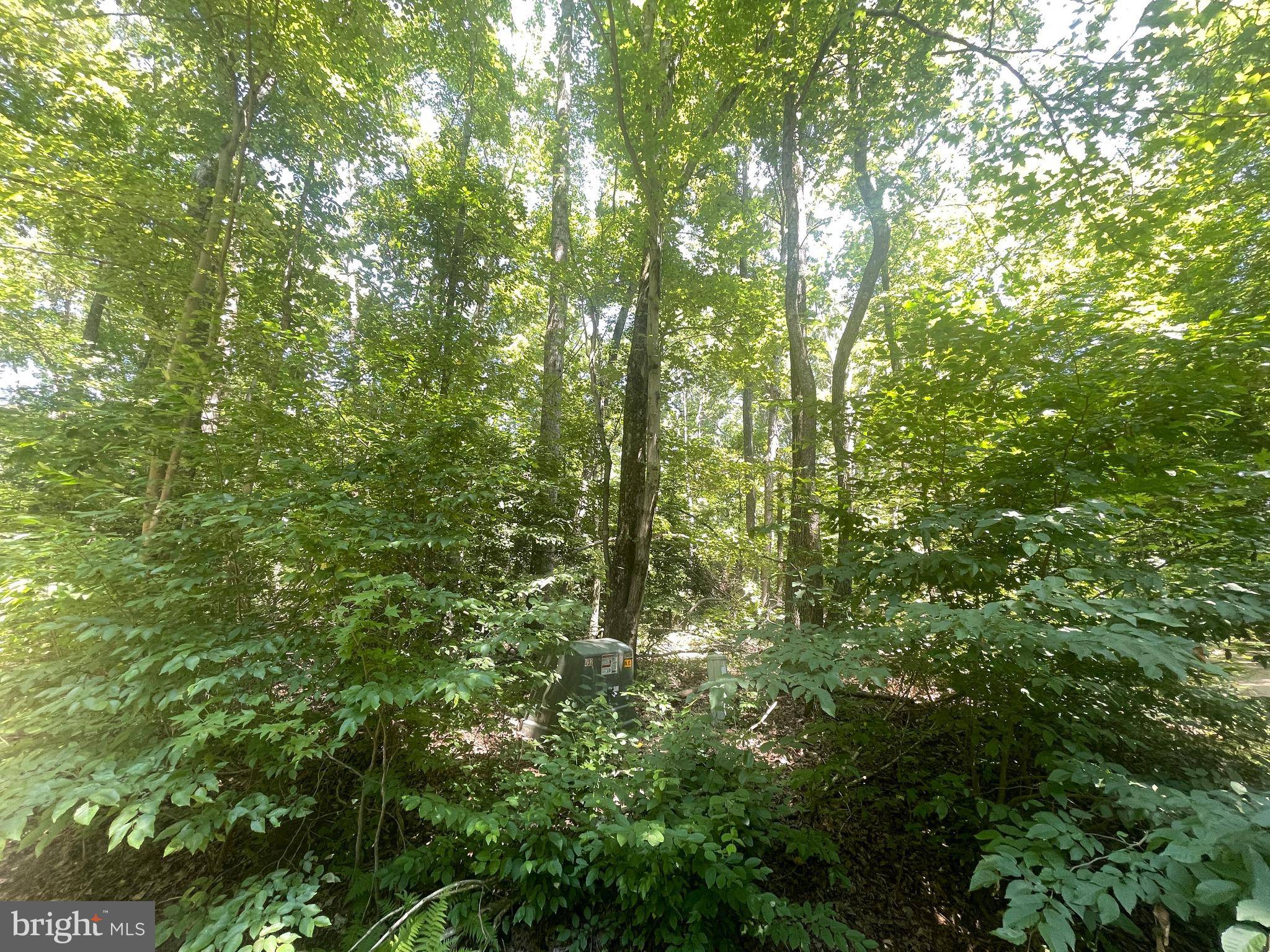 Accokeek, MD 20607,LOT14 OLD LANDING RD