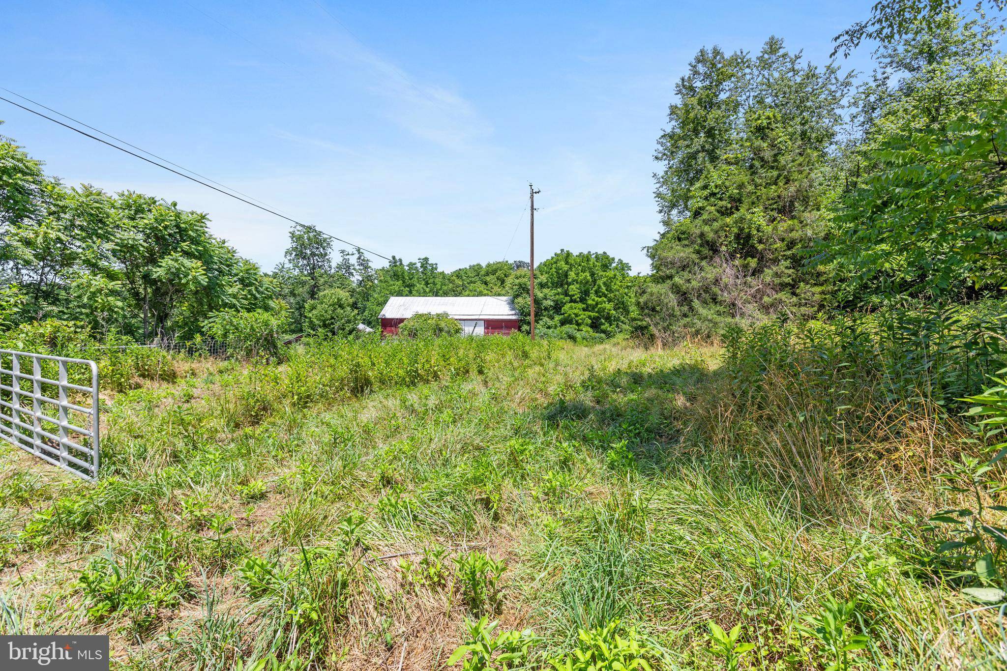 Quicksburg, VA 22847,TBD PINEWOODS ROAD