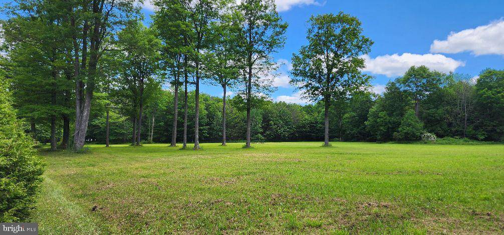 Coudersport, PA 16915,LOT #4 CARPENTER RD