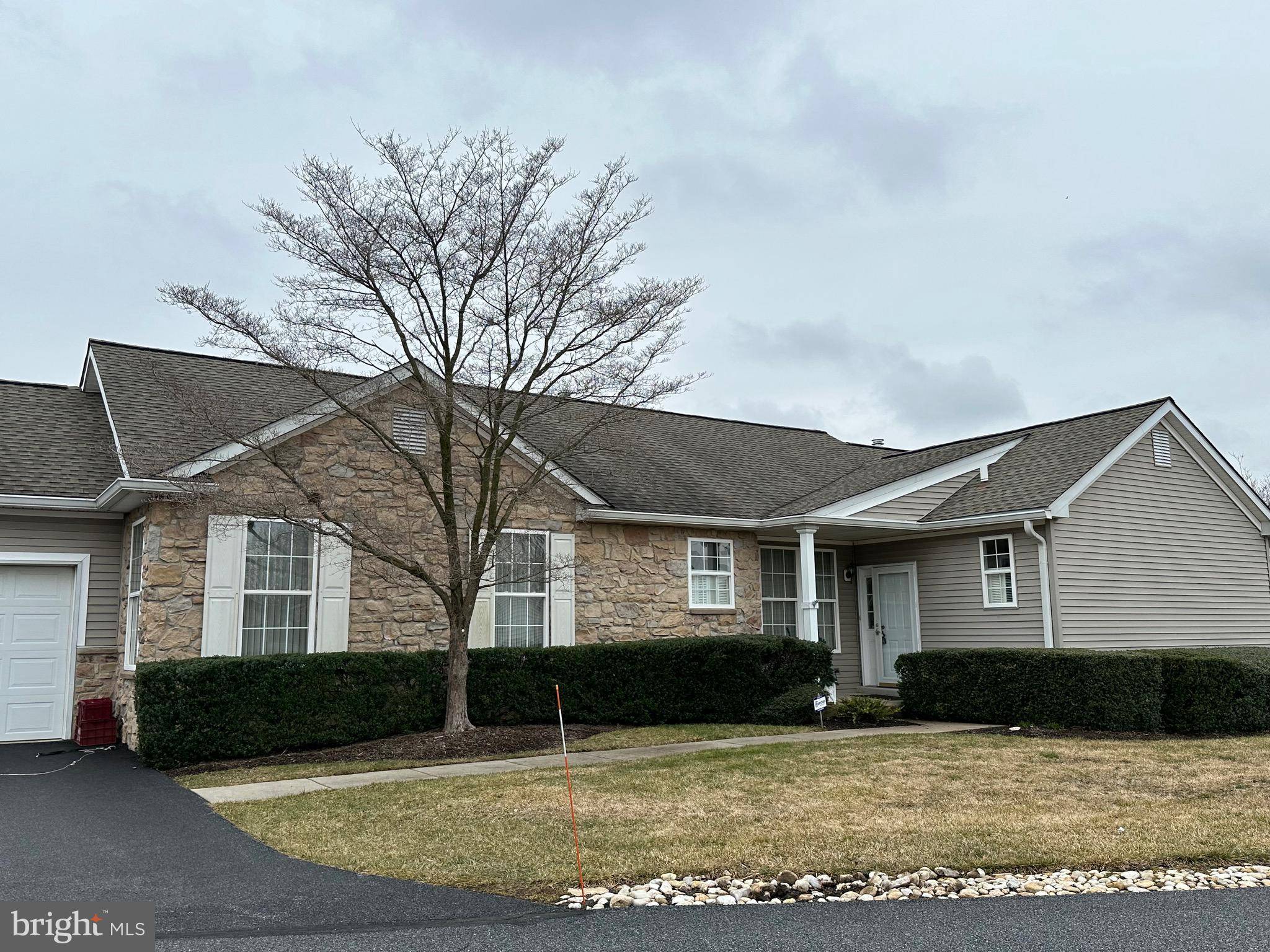 Glen Mills, PA 19342,300 FOX TERRIER CT