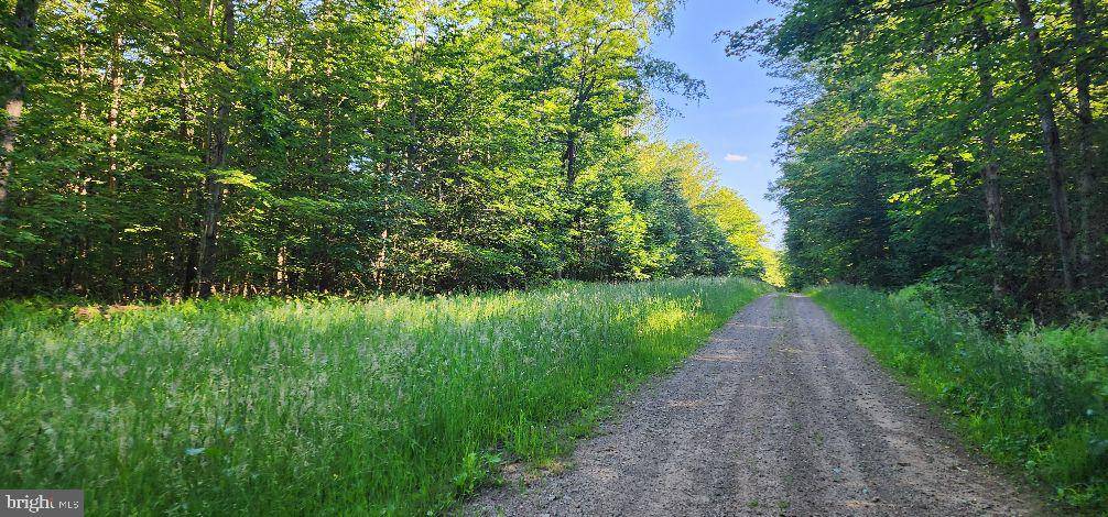 Coudersport, PA 16915,LOT# 5 CARPENTER ROAD