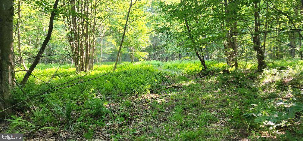 Coudersport, PA 16915,LOT# 5 CARPENTER ROAD