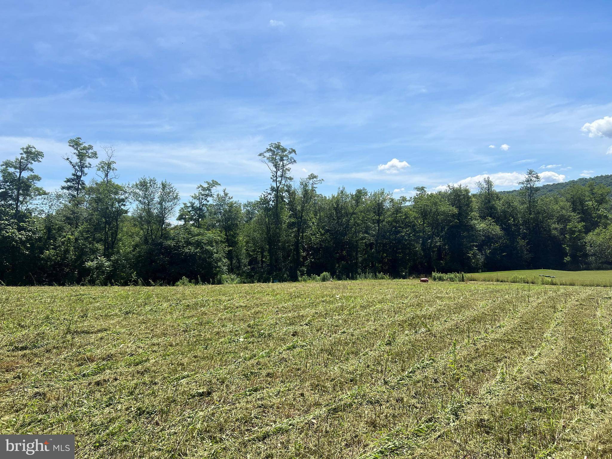 Mifflintown, PA 17059,LOT #2 MAPLE ROAD