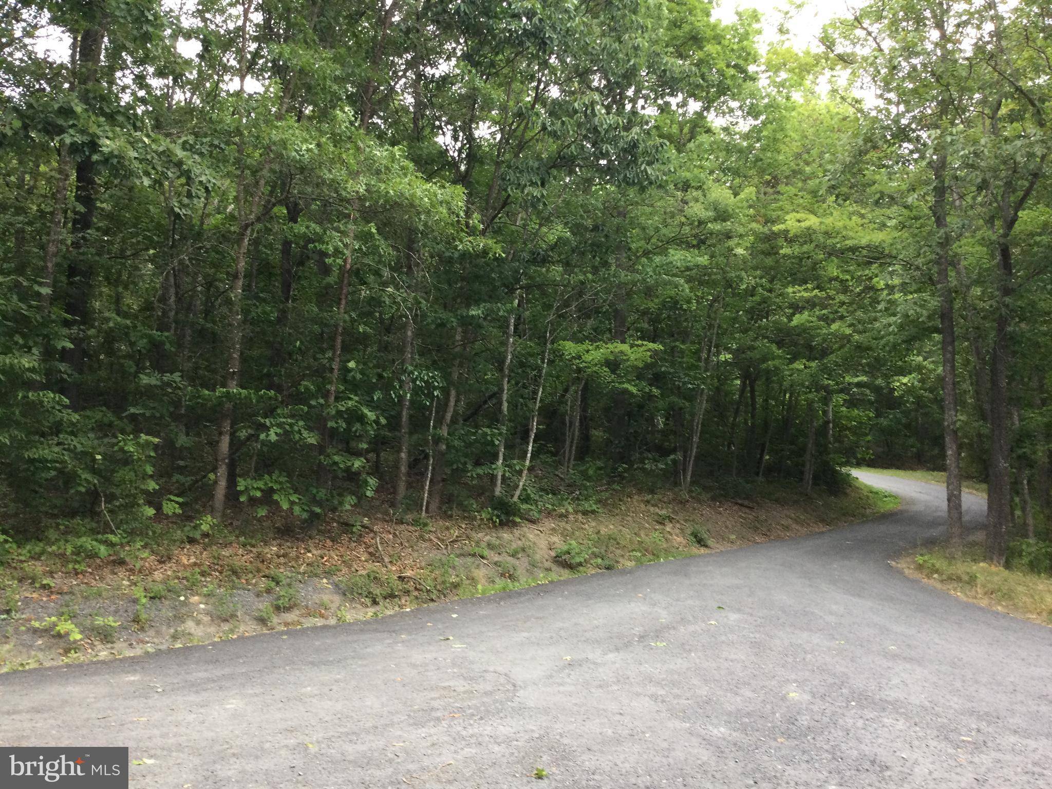 Mount Jackson, VA 22842,0 LOCUST LANE