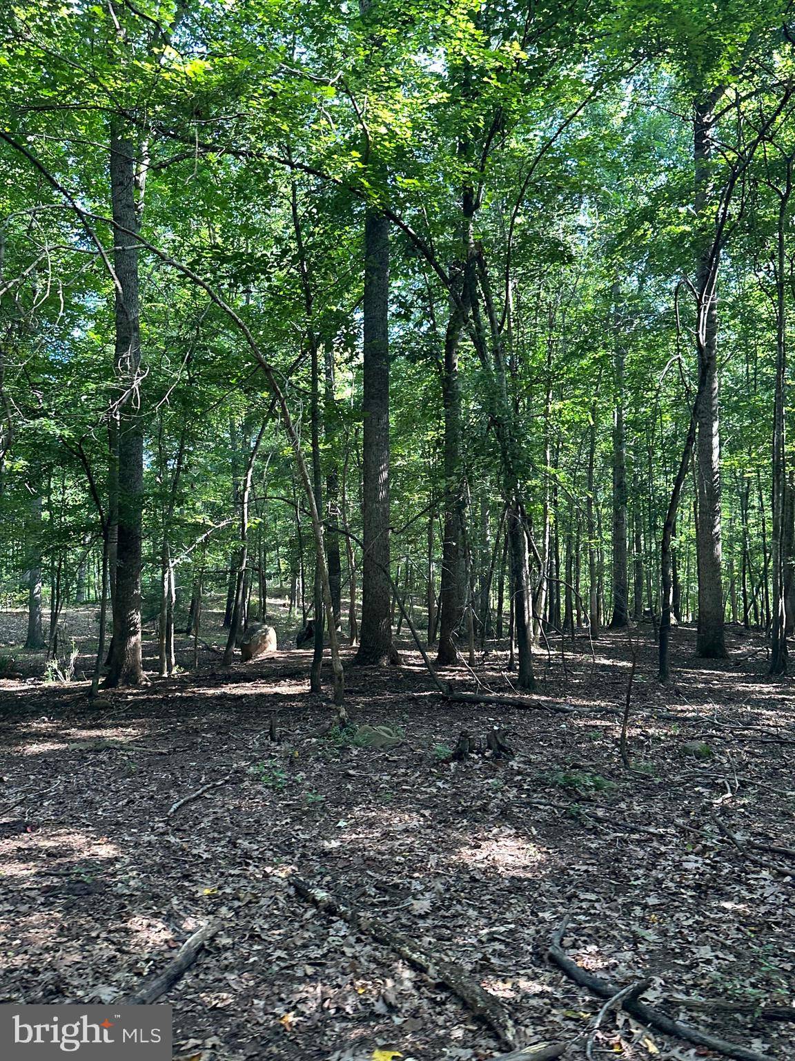 Rixeyville, VA 22737,LOT 113 STONEHOUSE MOUNTAIN RD