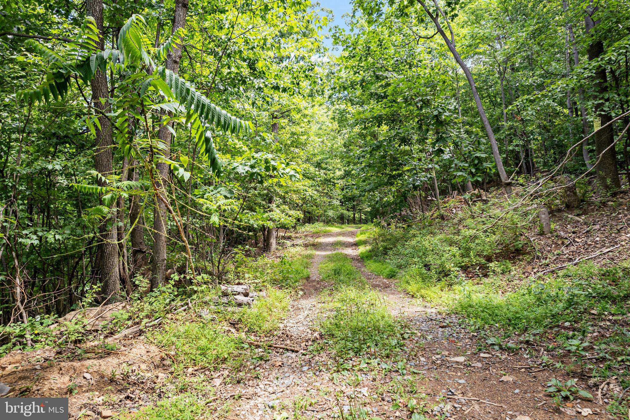 Hedgesville, WV 25427,LOT 7 PANTHER LANE