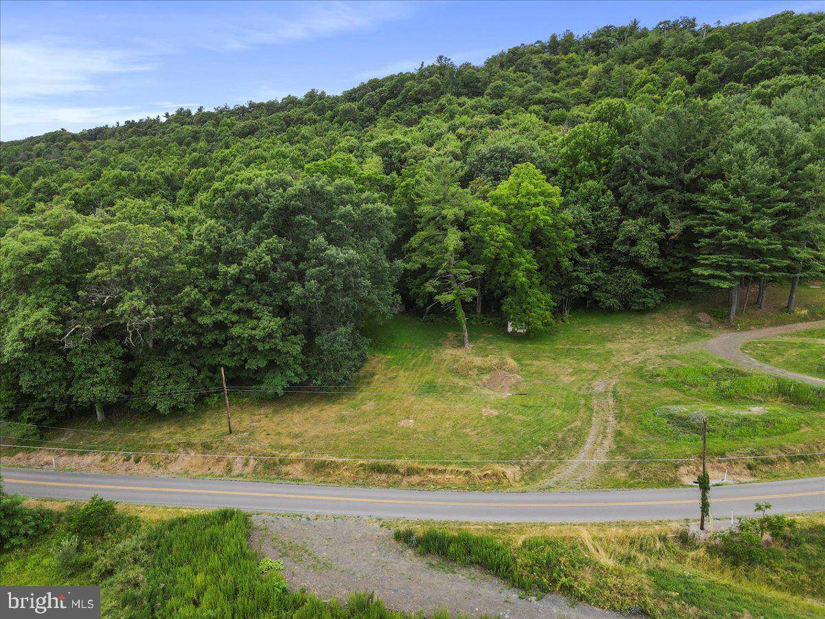 Mcconnellsburg, PA 17233,PEACH ORCHARD ROAD