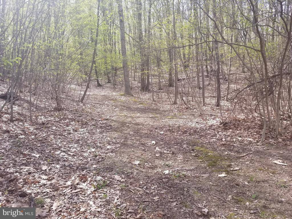 Millerstown, PA 17062,LOT #3 BUCKWHEAT RD