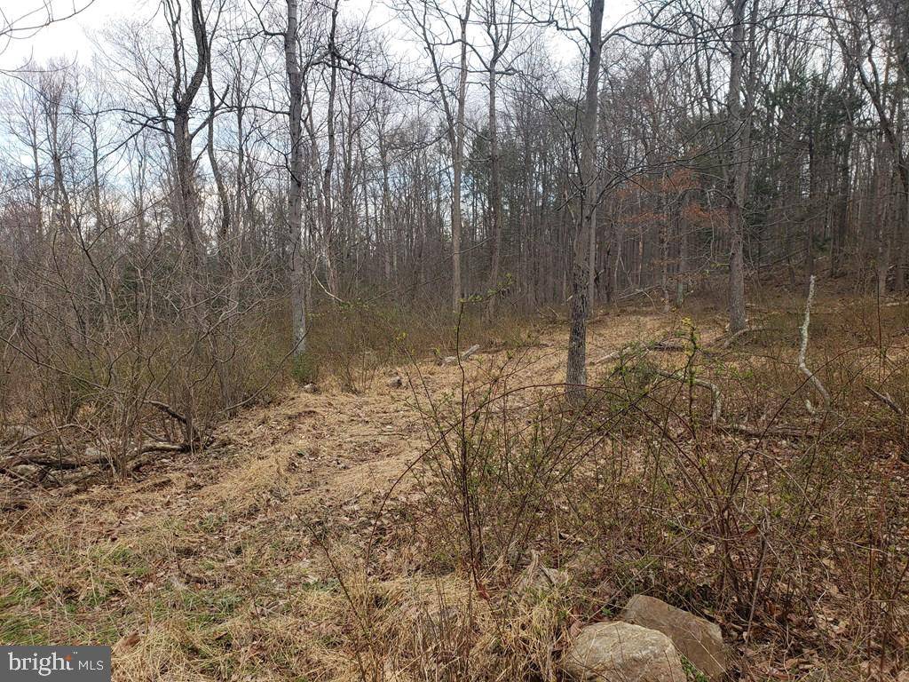 Port Royal, PA 17082,LOT 4 EAGLE LANE