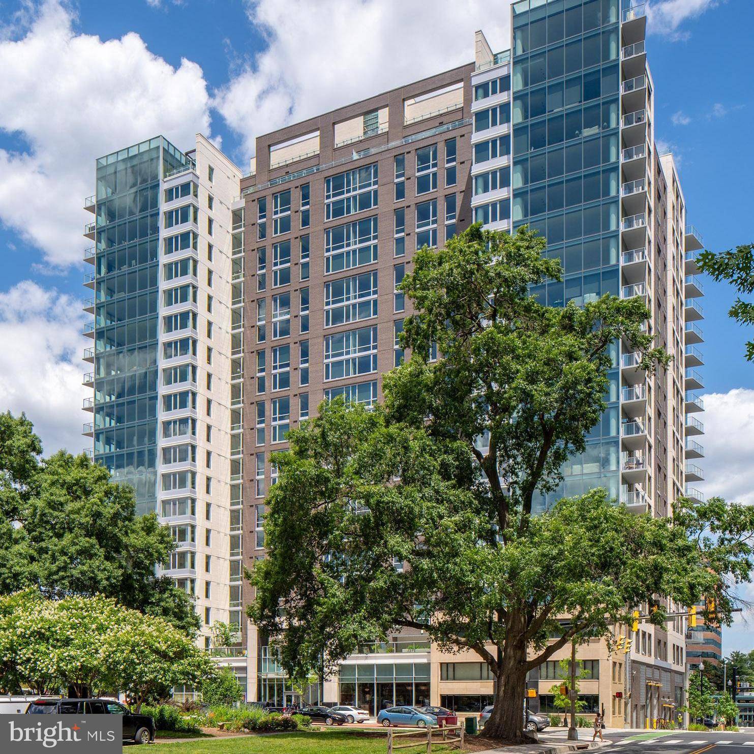 Arlington, VA 22201,2055 15TH ST N #2003
