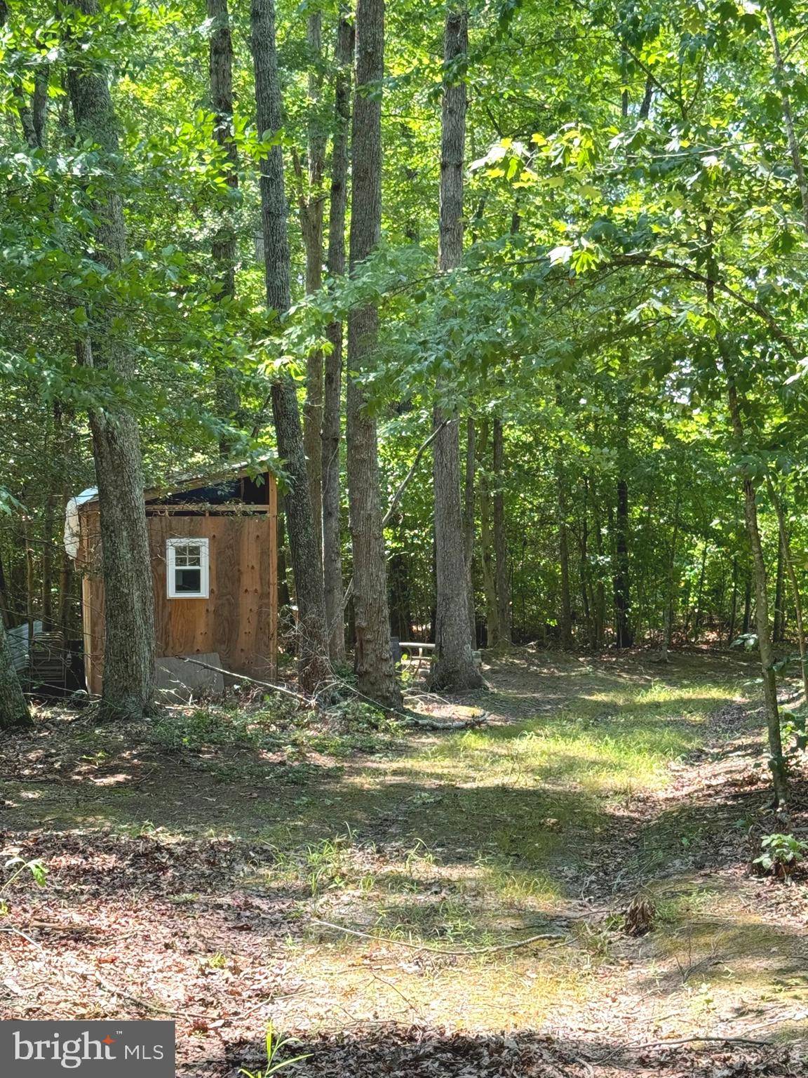 Lignum, VA 22726,RAPIDAN FARMS #LOT 20