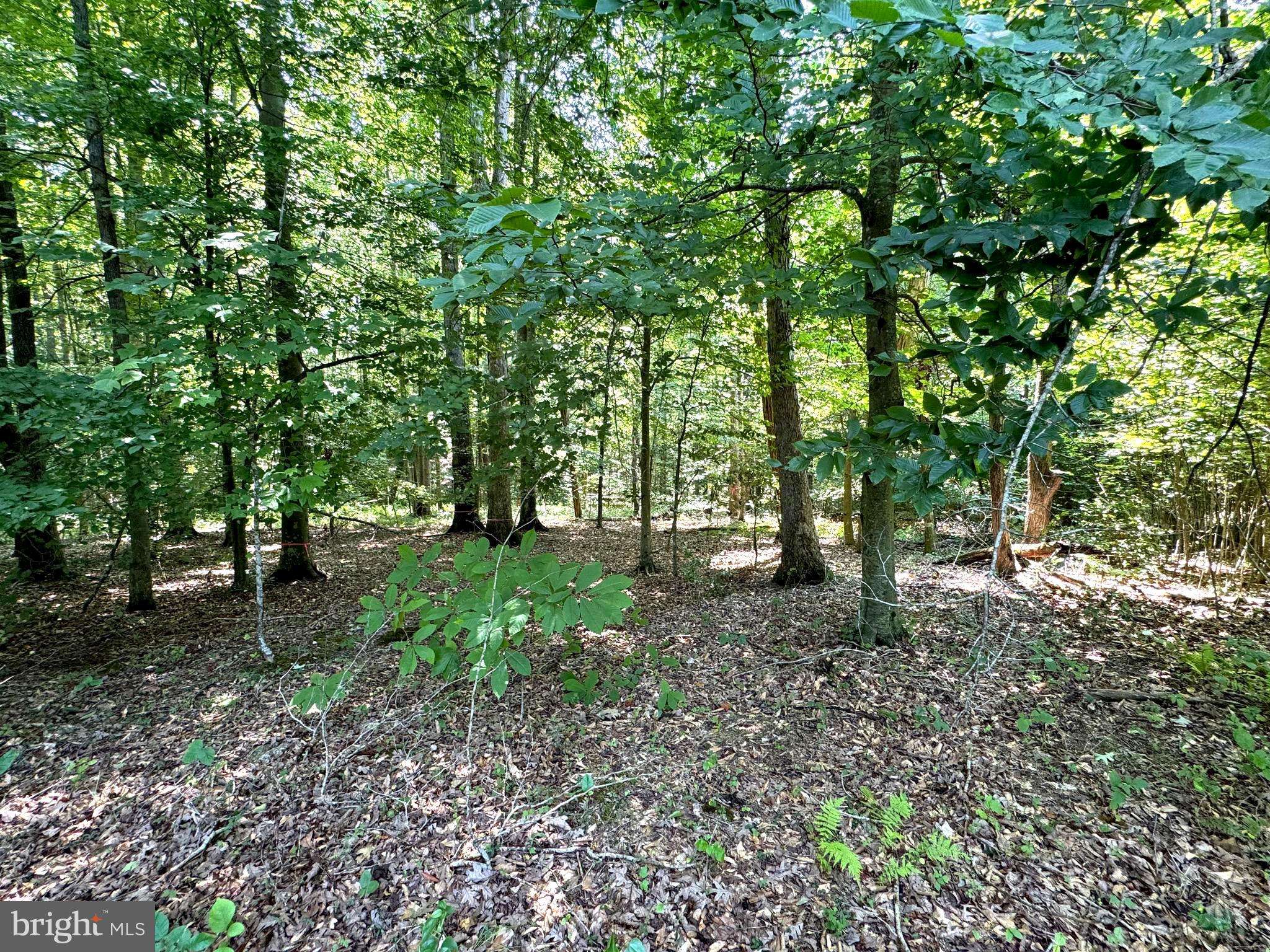 Lignum, VA 22726,RAPIDAN FARMS #LOT 20