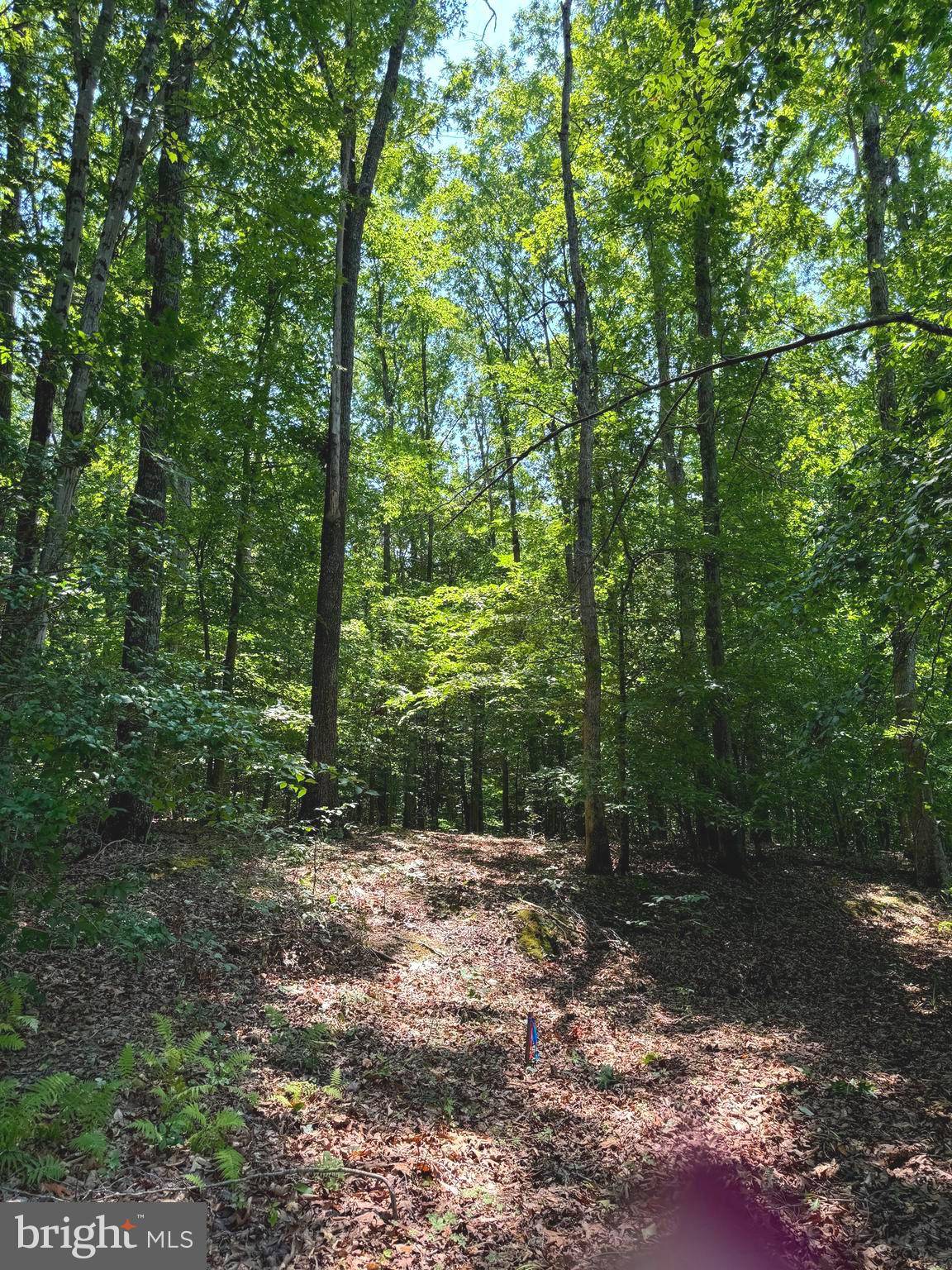 Lignum, VA 22726,RAPIDAN FARMS #LOT 20