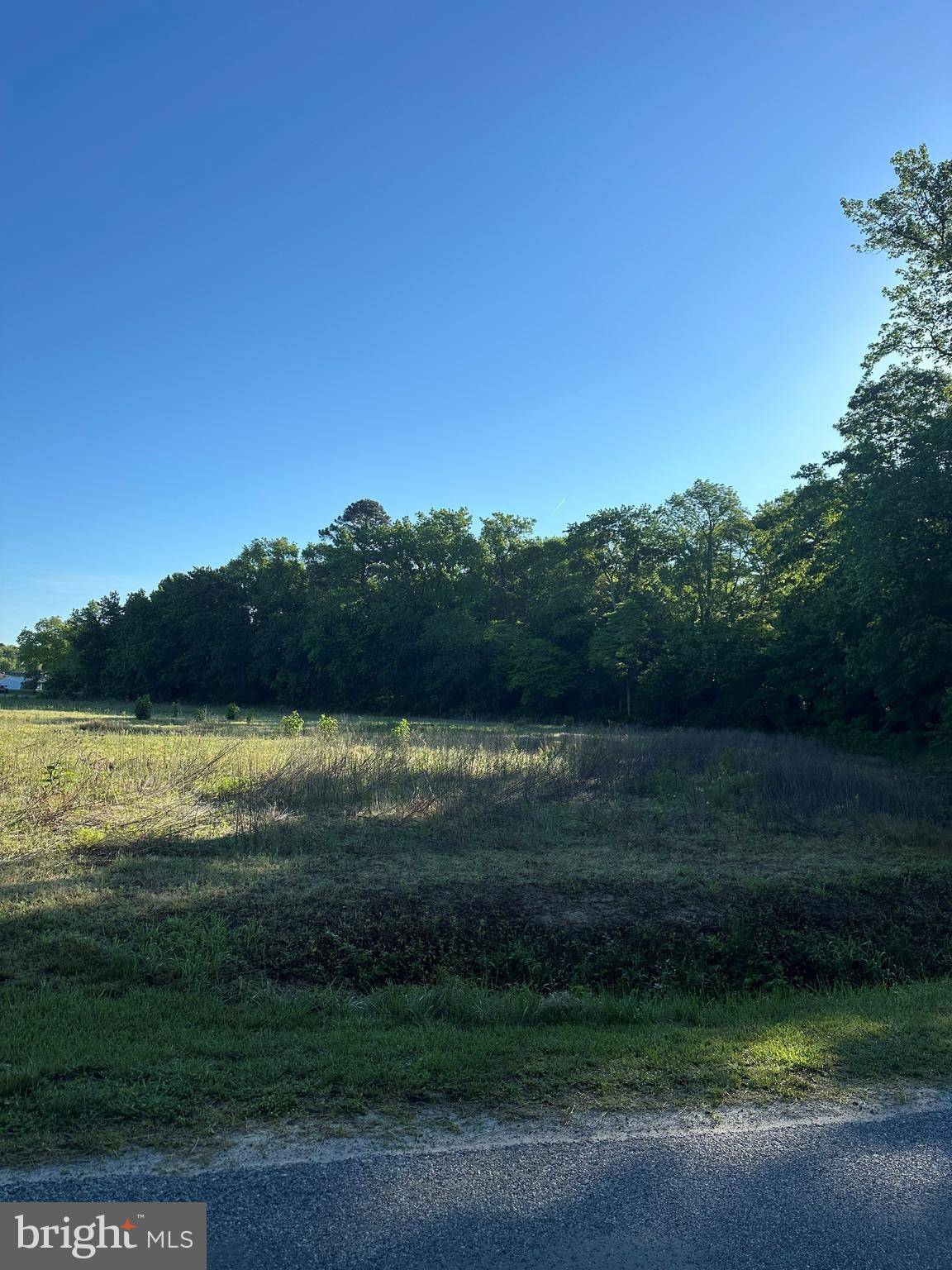 Selbyville, DE 19975,0 LYNCH RD