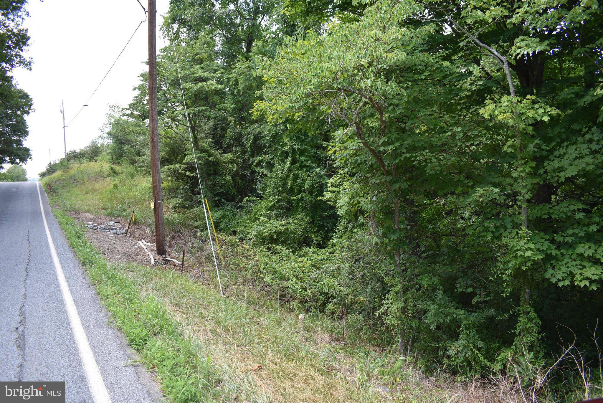 Warfordsburg, PA 17267,MCKEES GAP - LOT #8