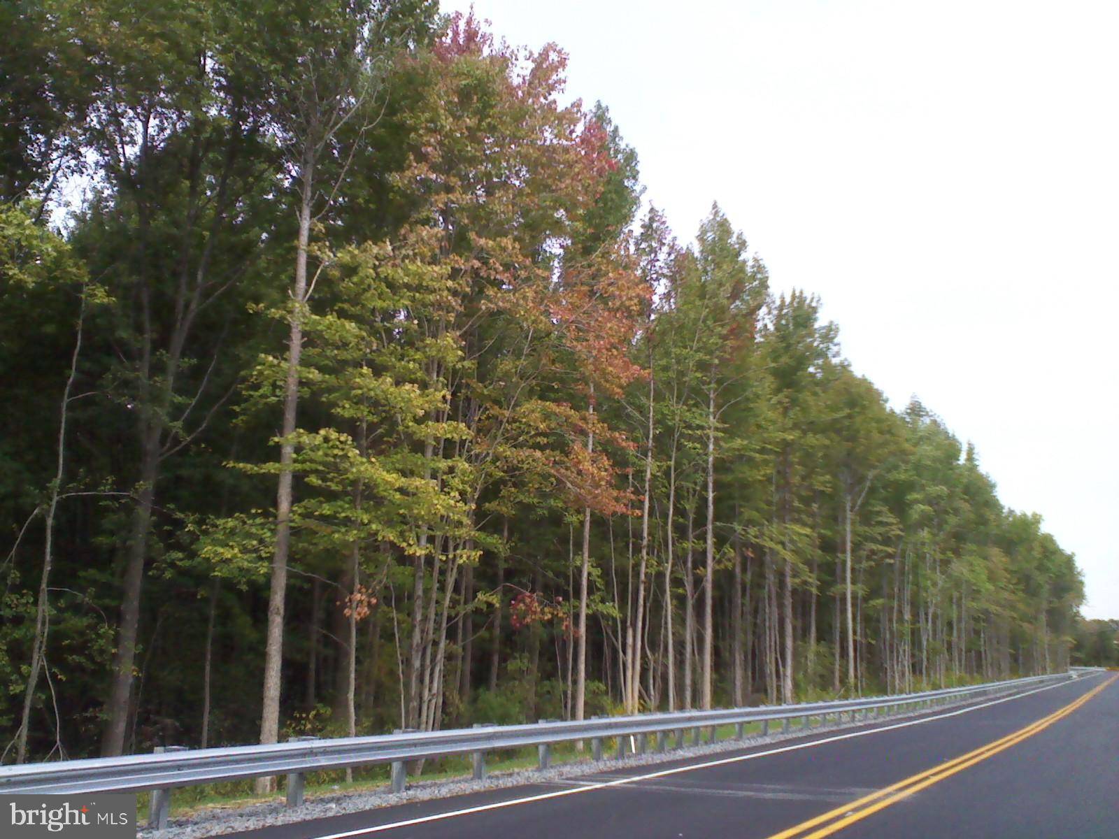 Robbinsville, NJ 08691,0 UNCLE PETE'S RD