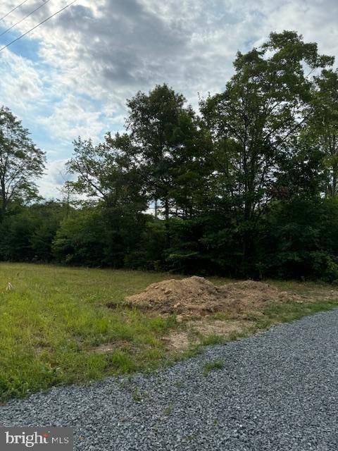 Louisa, VA 23093,DOCTOR'S RD. DOCTOR'S RD. #LOT 1