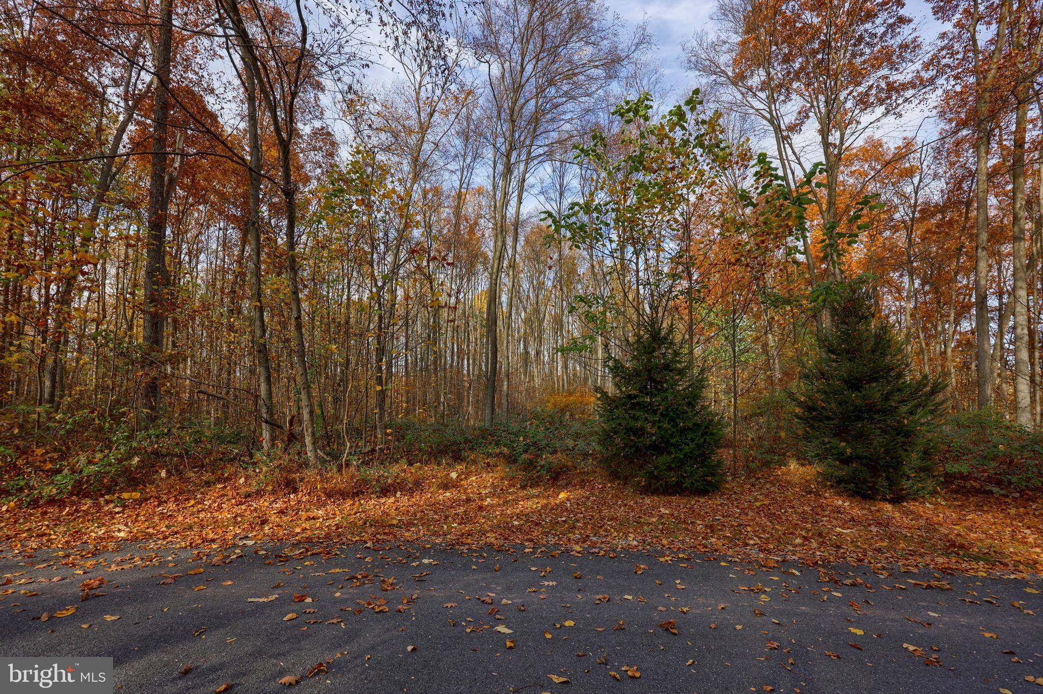 Manheim, PA 17545,3151-LOT 3 CREIGHTON DR