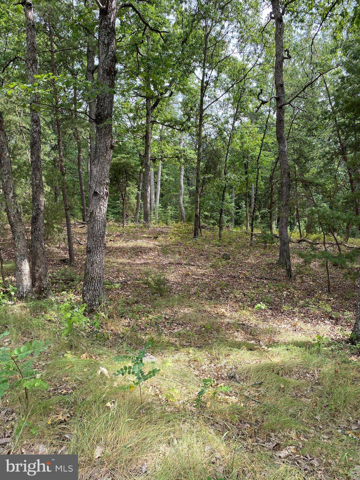 Yellow Spring, WV 26865,LOT 38 JANES WAY