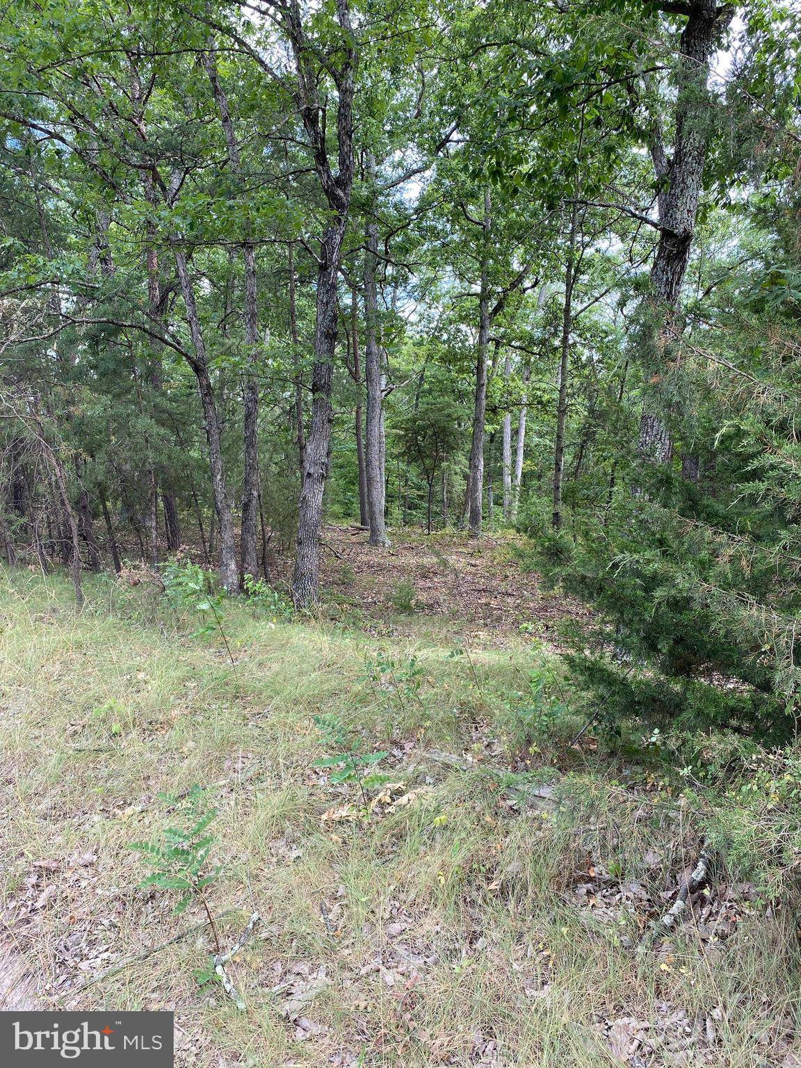 Yellow Spring, WV 26865,LOT 38 JANES WAY