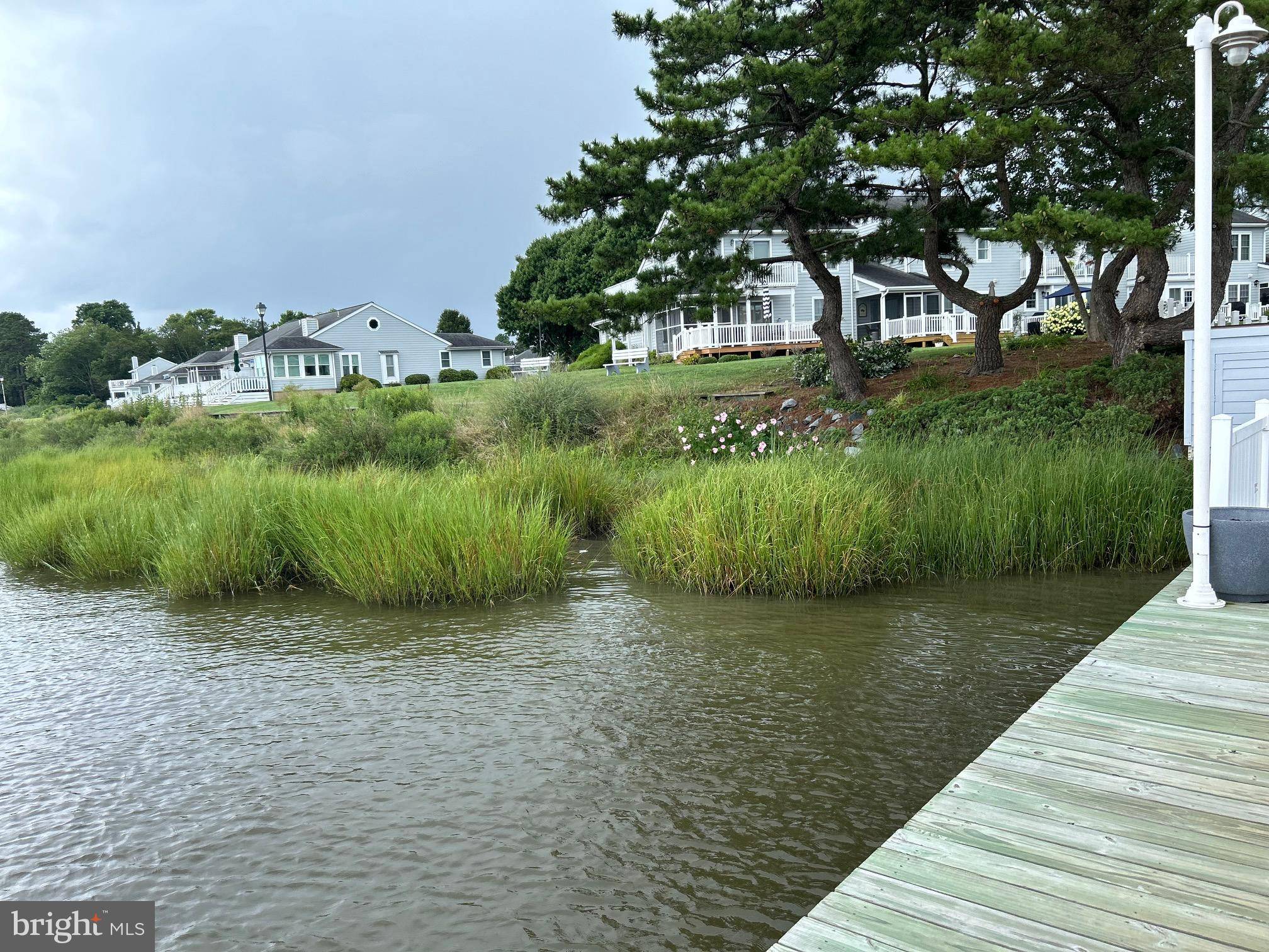 Millsboro, DE 19966,30996 CREPE MYRTLE DR #46