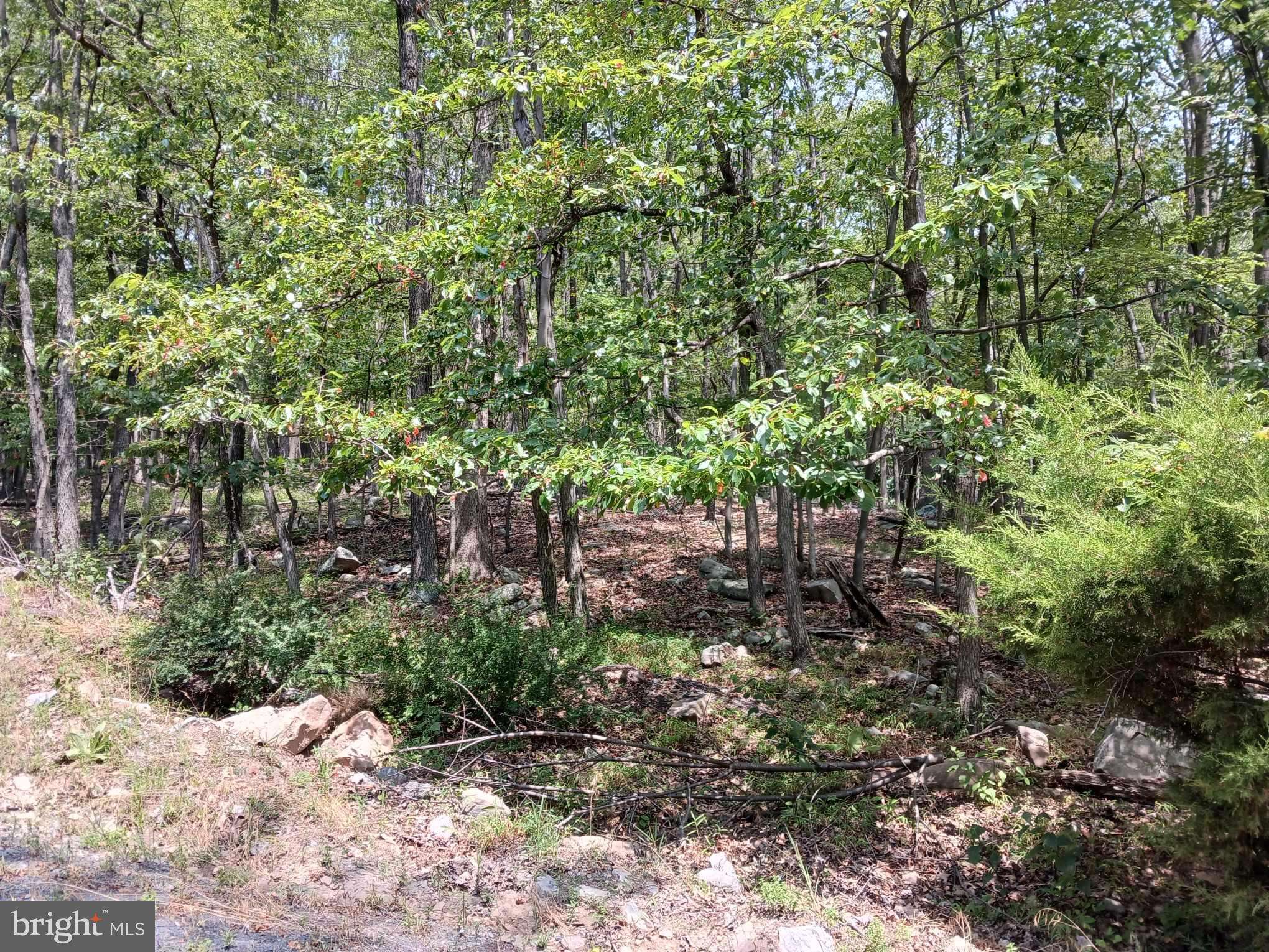 Paw Paw, WV 25434,LOT 11 PENDRAGON CT