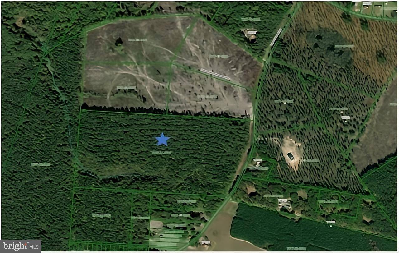 Beaverdam, VA 23015,TYLER STATION RD #LOT 2