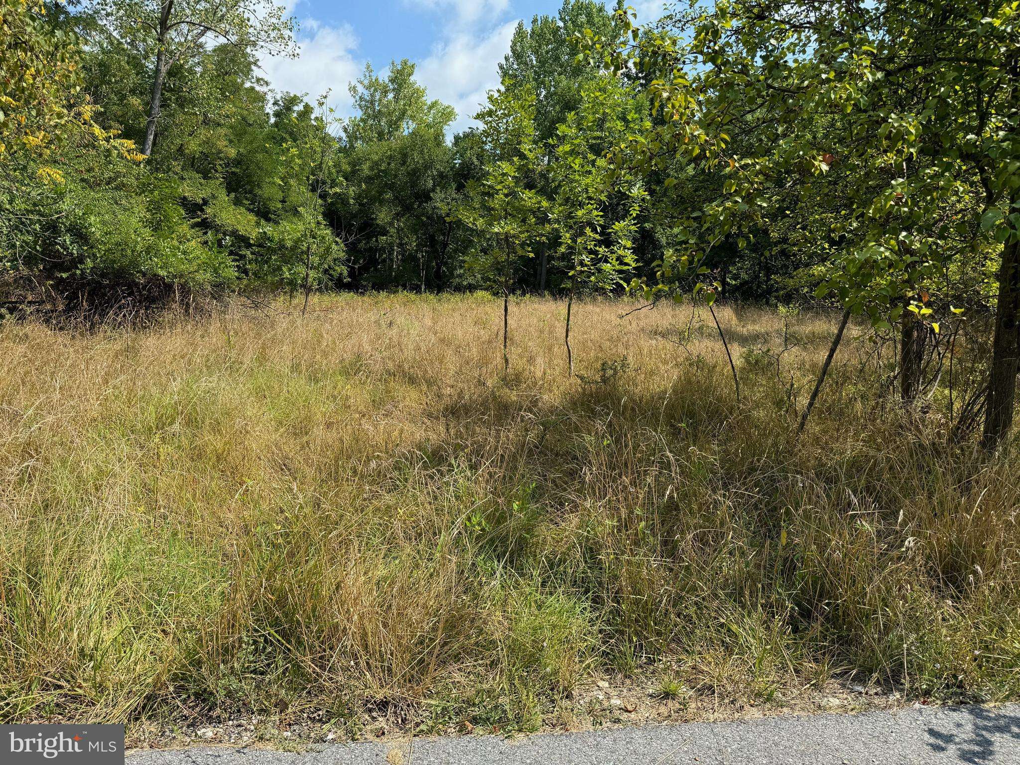 Randallstown, MD 21133,OAKLAND PARK RD. LOT 1