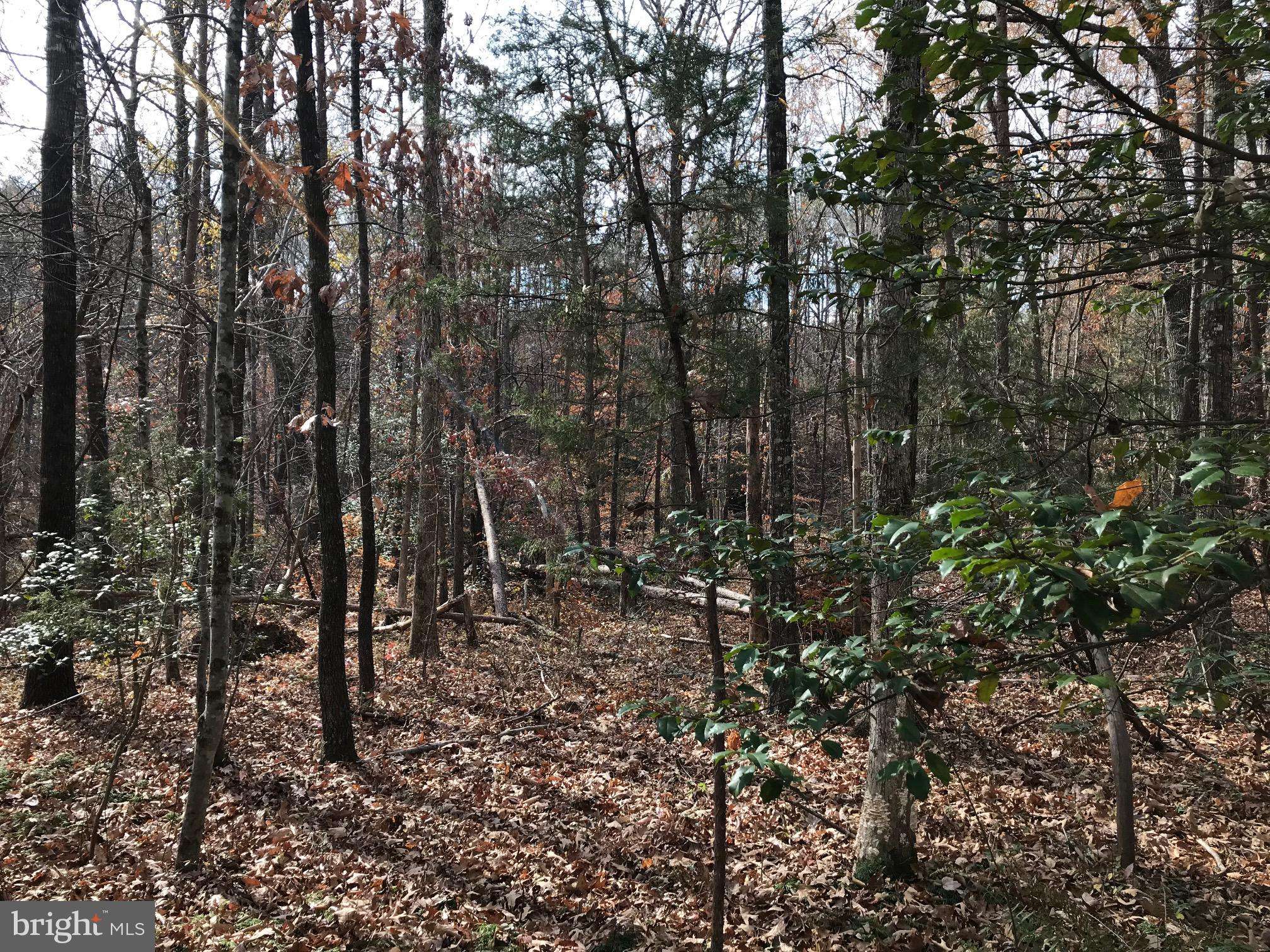 Unionville, VA 22567,LOT 32A ORANGE SPRINGS RD