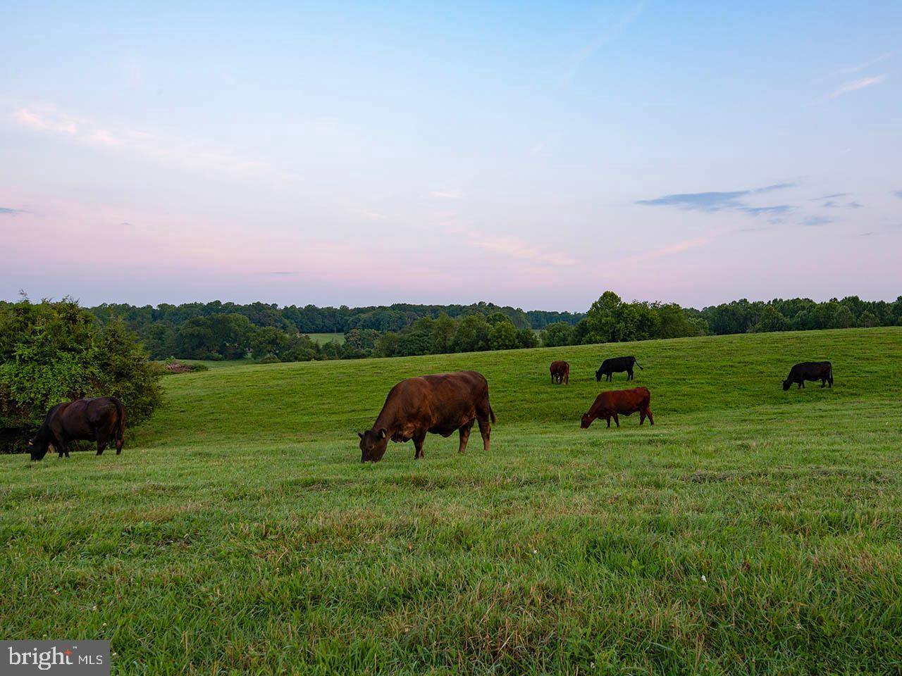 Unionville, VA 22567,2_TBD TATUM RD