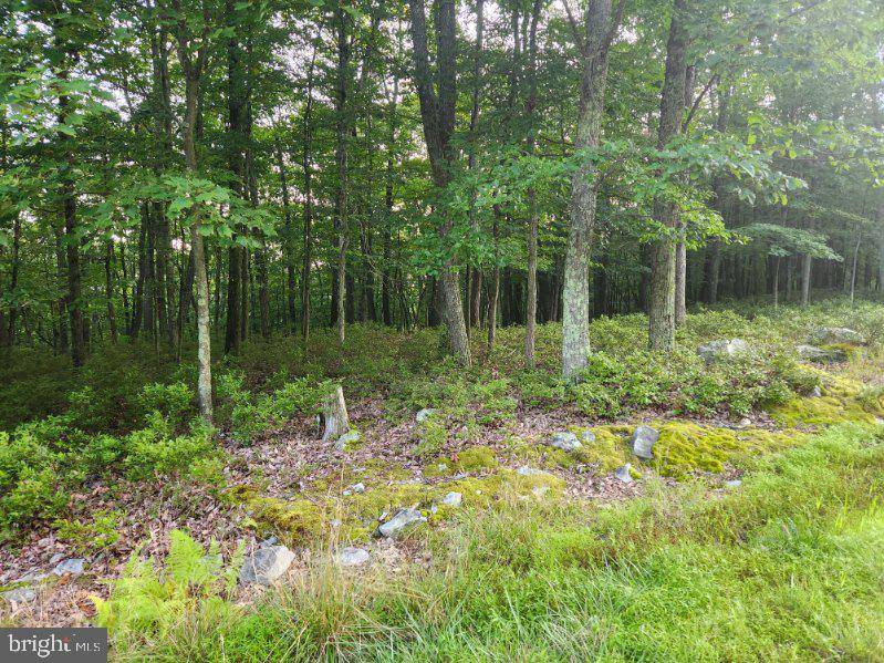 Hazle Township, PA 18202,JAE LOT 41 QUAPAW