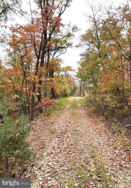 Winchester, VA 22602,LOT 171 FIRE TOWER TRL